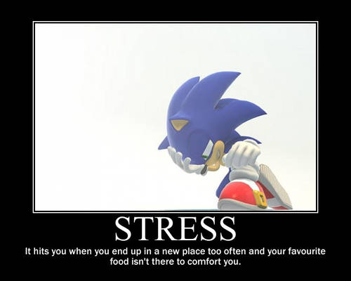 Sonic Demotivational: Stress