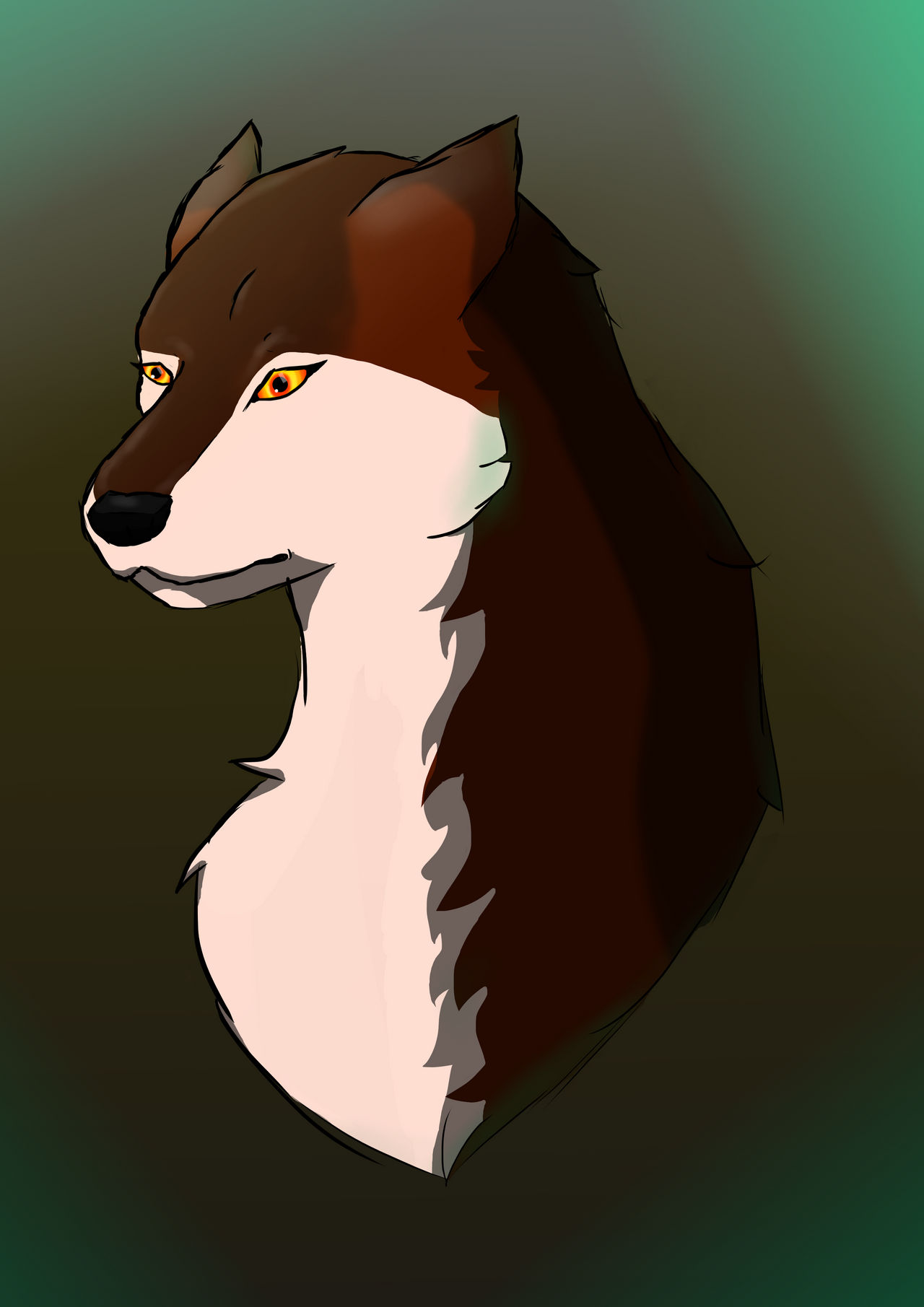 Female wolf by MelMelBear on DeviantArt
