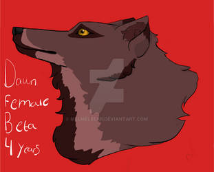 Dawn Female wolf, Beta