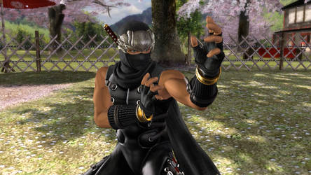 DOA4_HAYABUSA_C1