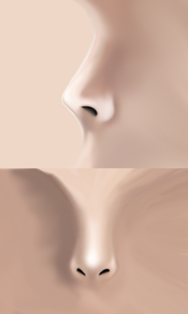 Nose Study