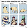 Pug hates medicine