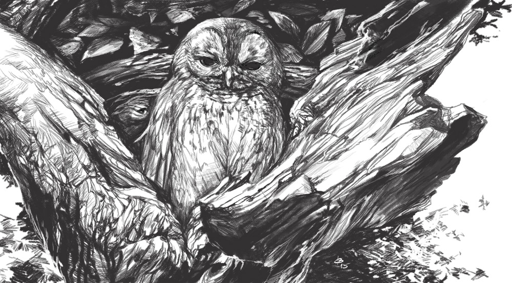 Owl and a tree by engelszorn