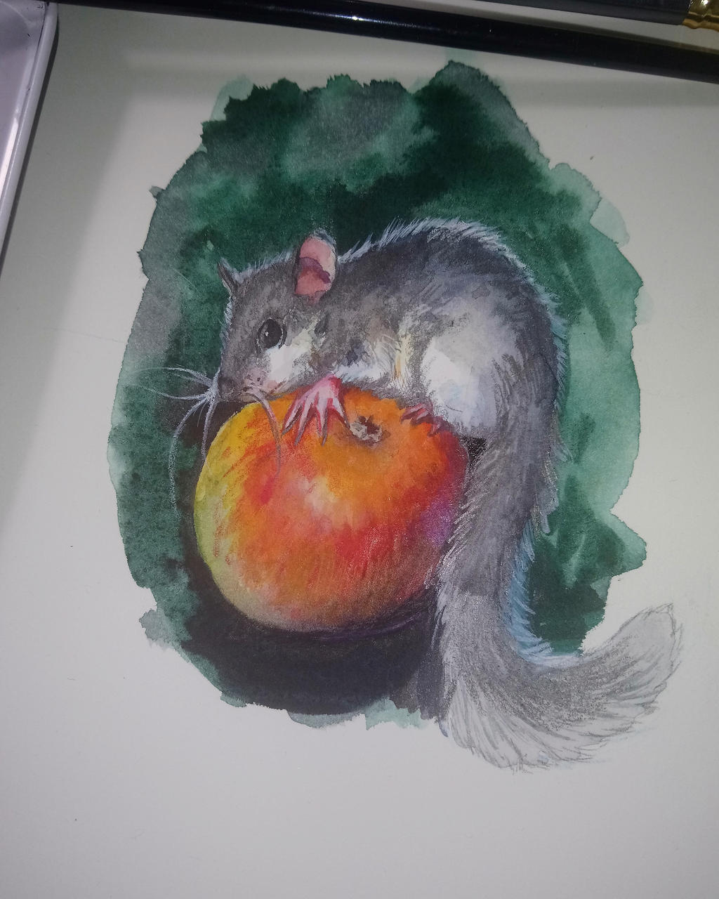 Dormouse by engelszorn