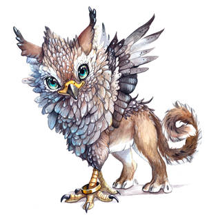 Little Gryphon