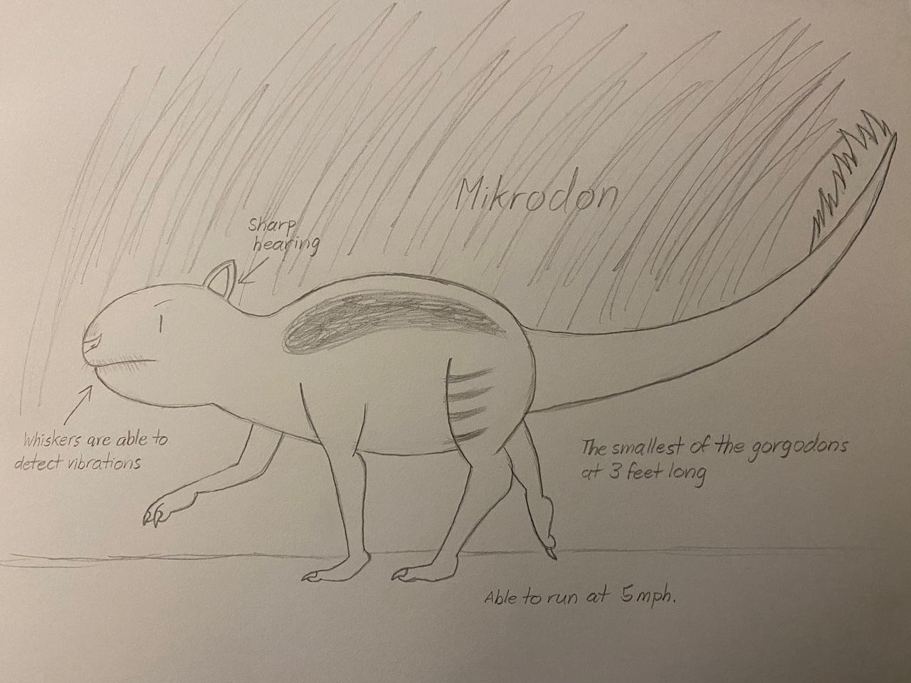 Microlodon Mikrodon by Swordartist27 on DeviantArt