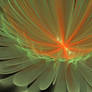 Green and Orange petals 