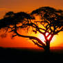 Kenya sunrise