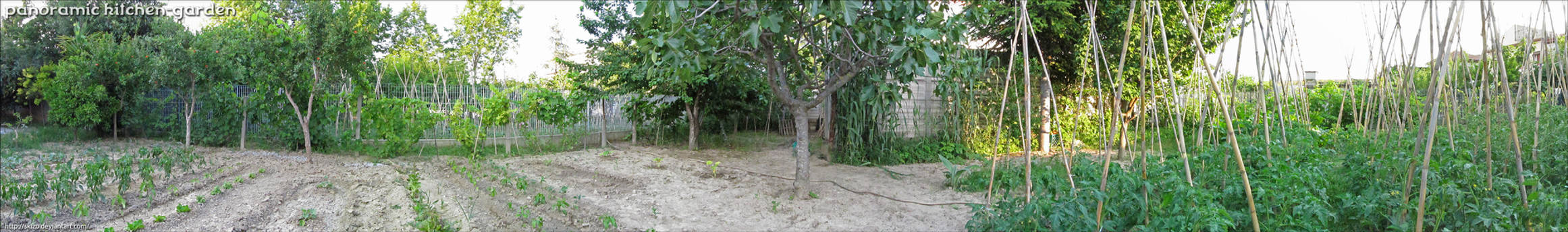 Panoramic Kitchen-Garden