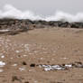 Plage sous la neige :4: