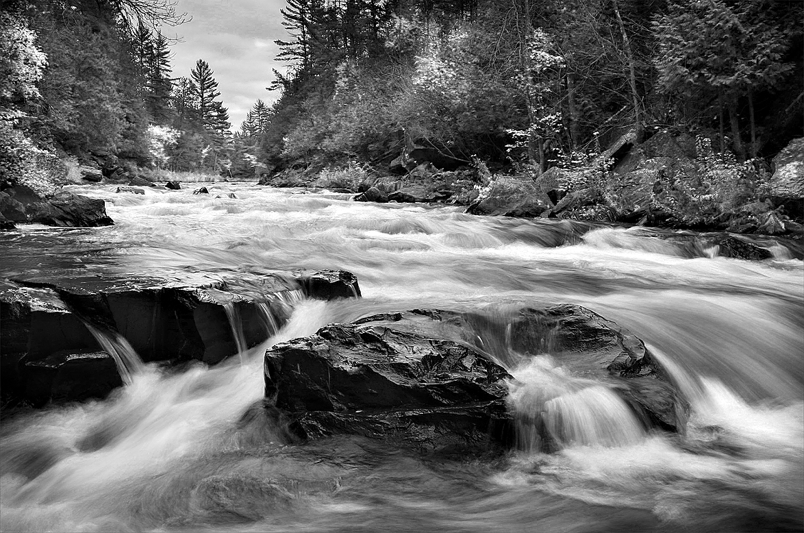 Horse Race Rapids III