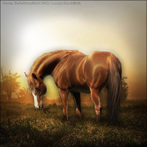 Sunrise Horse