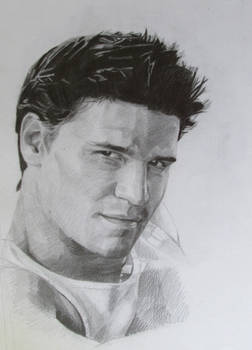 David Boreanaz