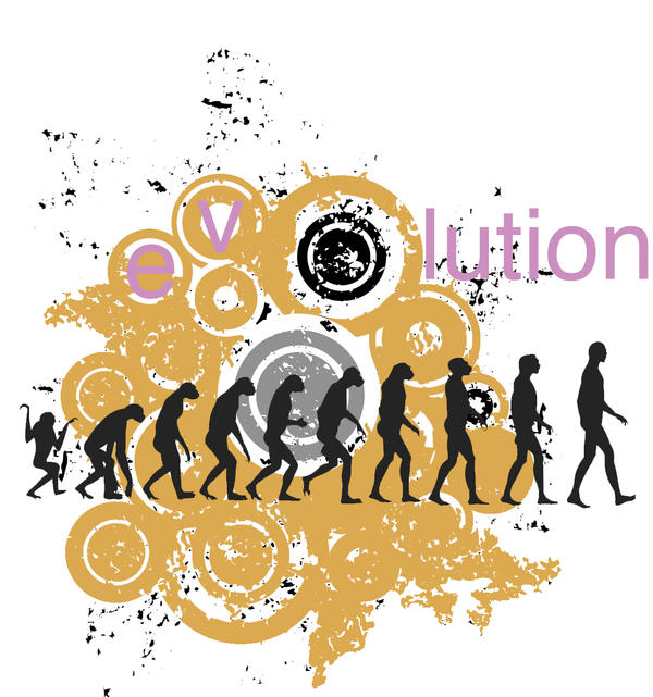 Evolution Chart Deviantart Evolution by shava50 on DeviantArt
