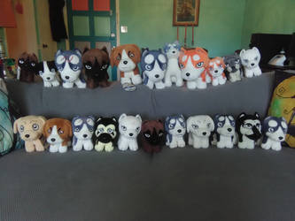 Ginga Plush Collection Picture Update 6-27-17