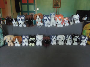 Ginga Plush Collection Picture Update 6-27-17