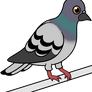 ::Pigeon::