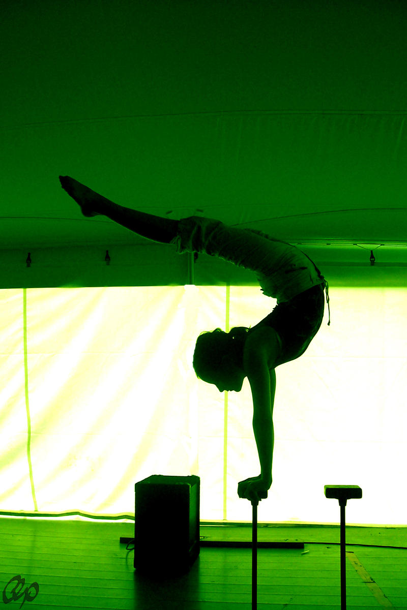 fragile equilibre by mechanicalAnimals on DeviantArt