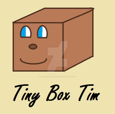 Tiny Box Tim