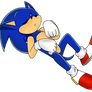 Sleeping Sonic the Hedgehog