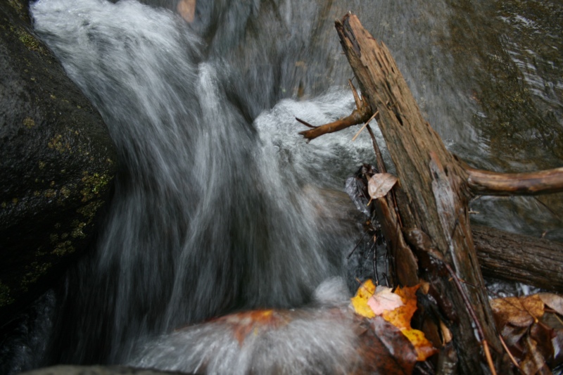 stick in water by sunflowersutra on DeviantArt stick in water by sunflowersutra on DeviantArt