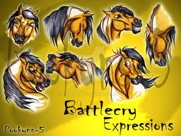 Battlecry Expressions