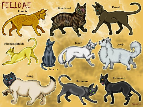 Felidae