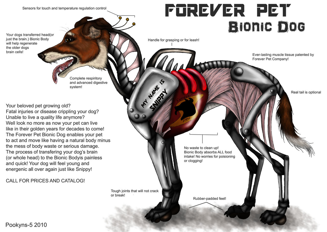Bionic Dog by pookyhorse on DeviantArt