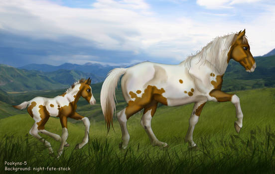 mustang mare and foal