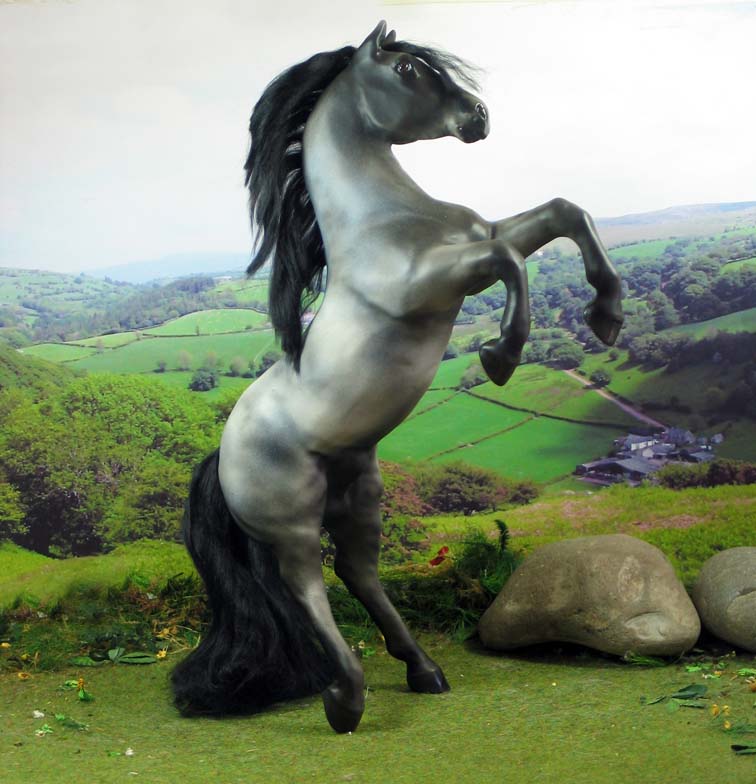 equorum horse 4