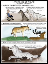 Wolves according to Wolfaboos.