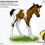 Battlecry Foal auction 1 SOLD