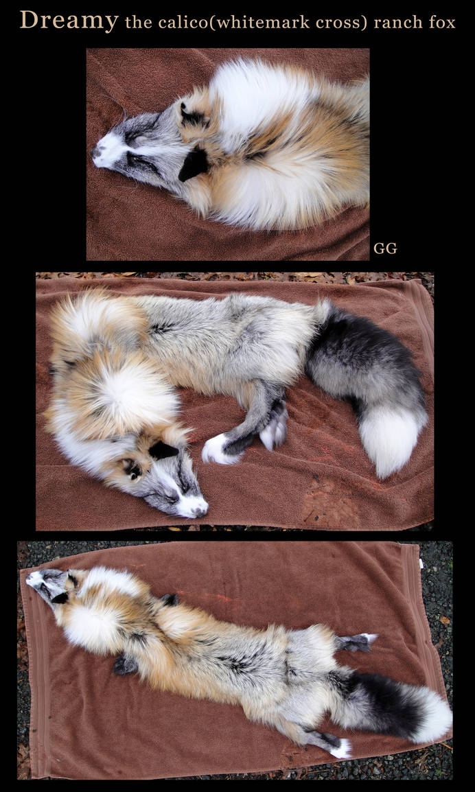 Dry Tanned Domestic Rabbit Pelt [SOLD] by MilkyFoxWhiskers on DeviantArt