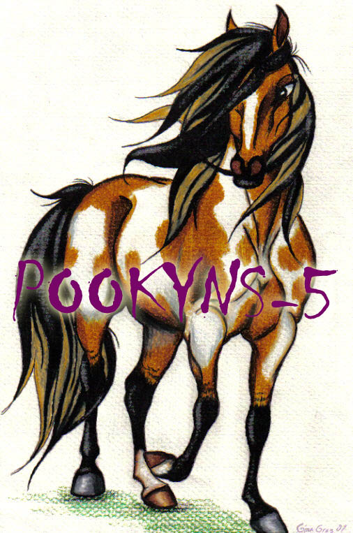 buckskin paint mare