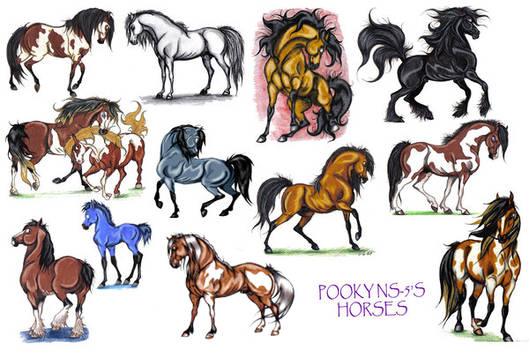 pooky's horses