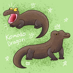 Komodo Dragon