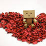 danbo in heart