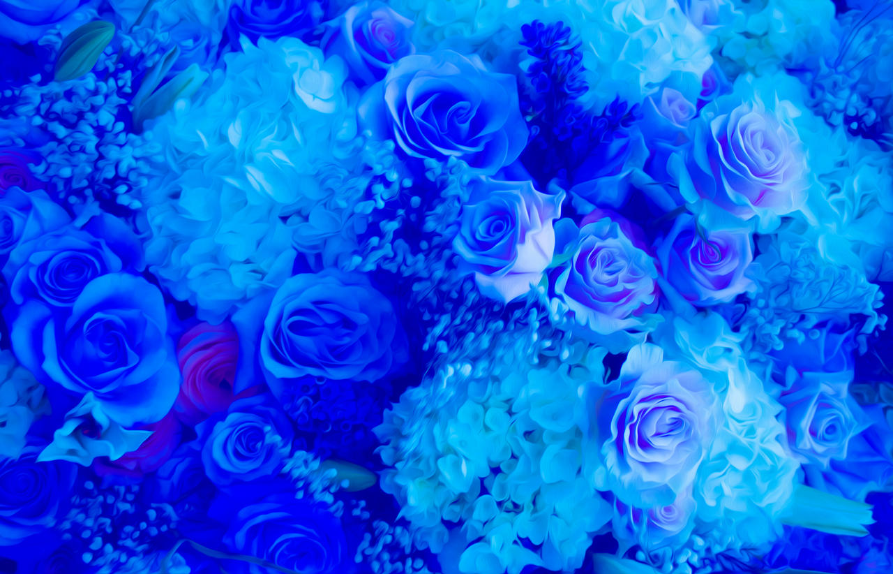 When Roses Dream Beneath the Waves