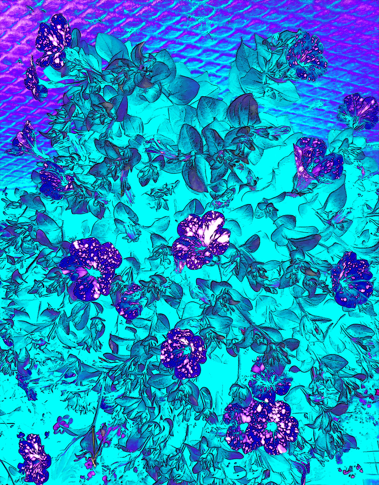 Galactic Petunia Rave