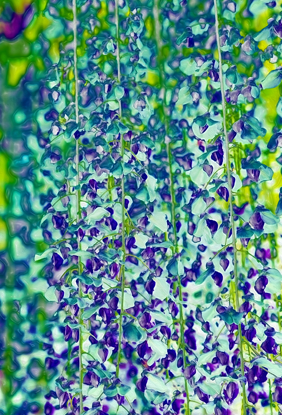 Water Curtain