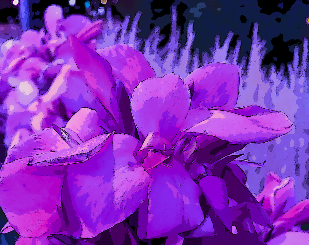 Bi Colour Garden