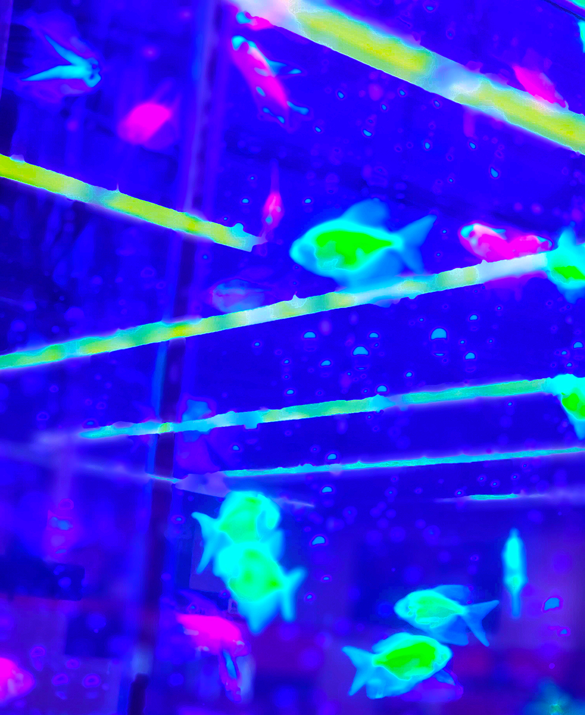 Cyber Swim