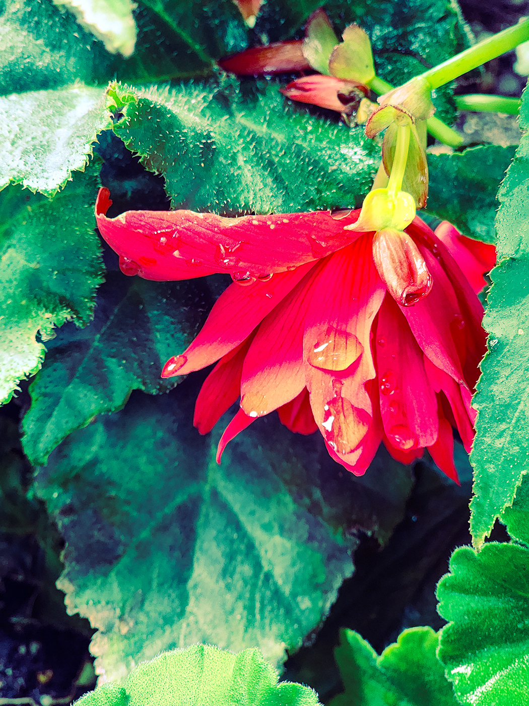 The Weight of Stillness