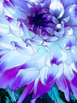 Lost in the Details - Nocturnal Version