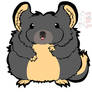 Chinchilla