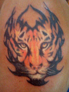 Tribal Tiger