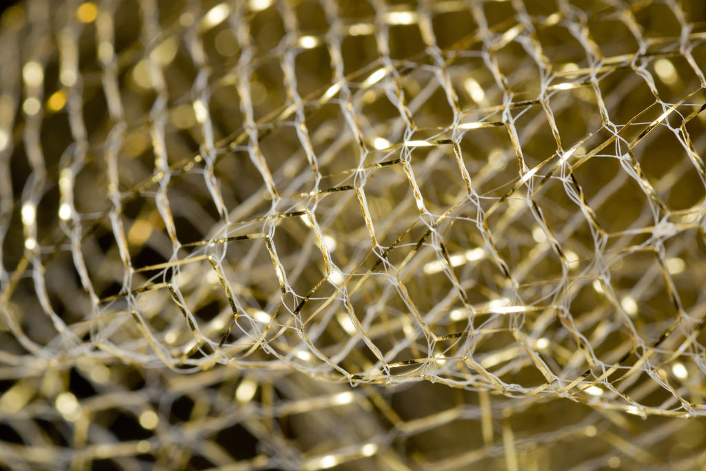 Golden Net