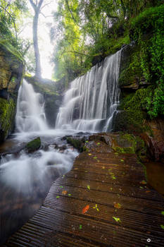 Cascata do Fojo I