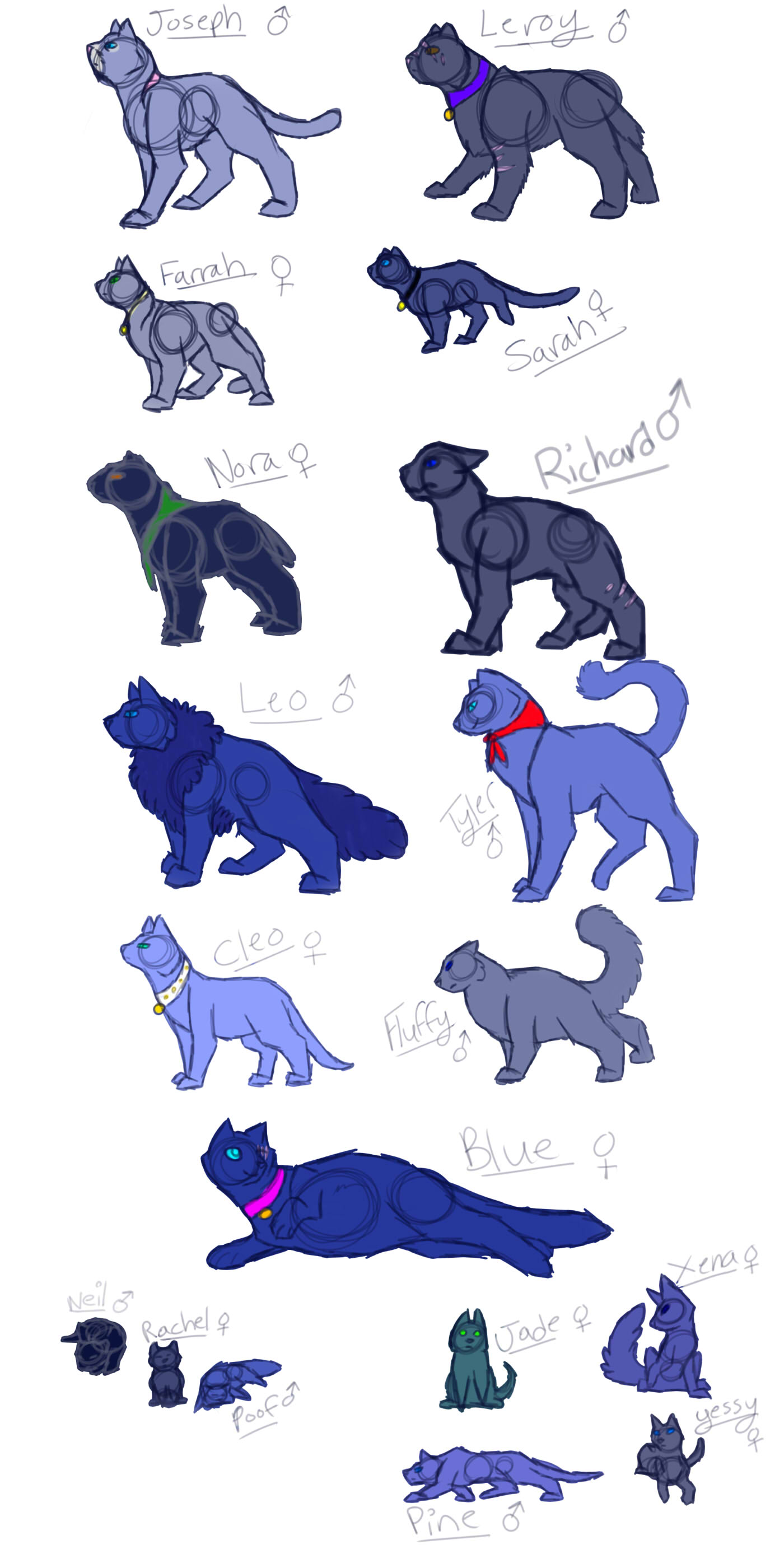 The Russian Blues - Ref sheet