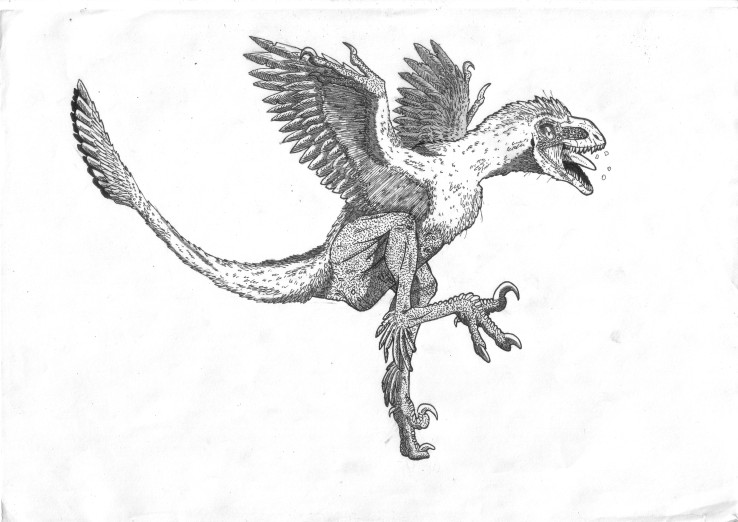 Tianyuraptor -or not?-
